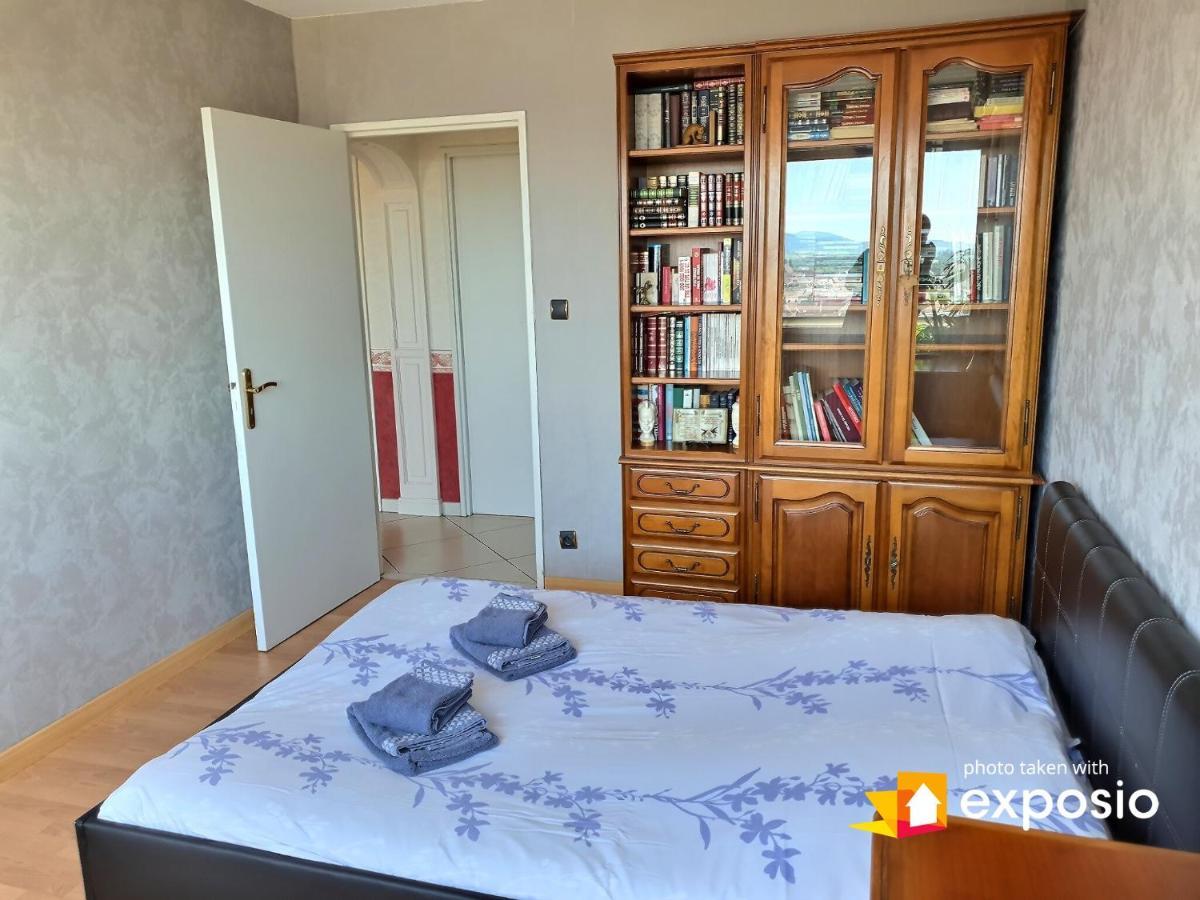 Bel Appartement Avec Vue Splendide Sur Toute La Ville De Colmar - Parking Gratuit Εξωτερικό φωτογραφία